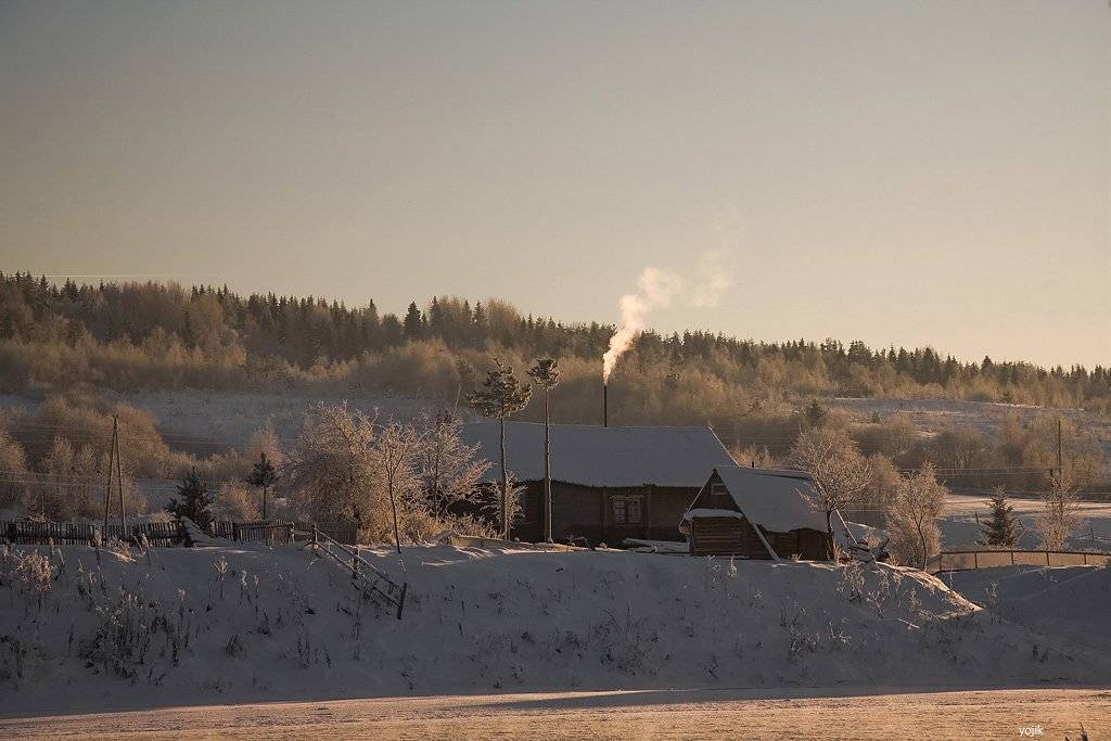 зимняя, сказка, Милый Ёжка