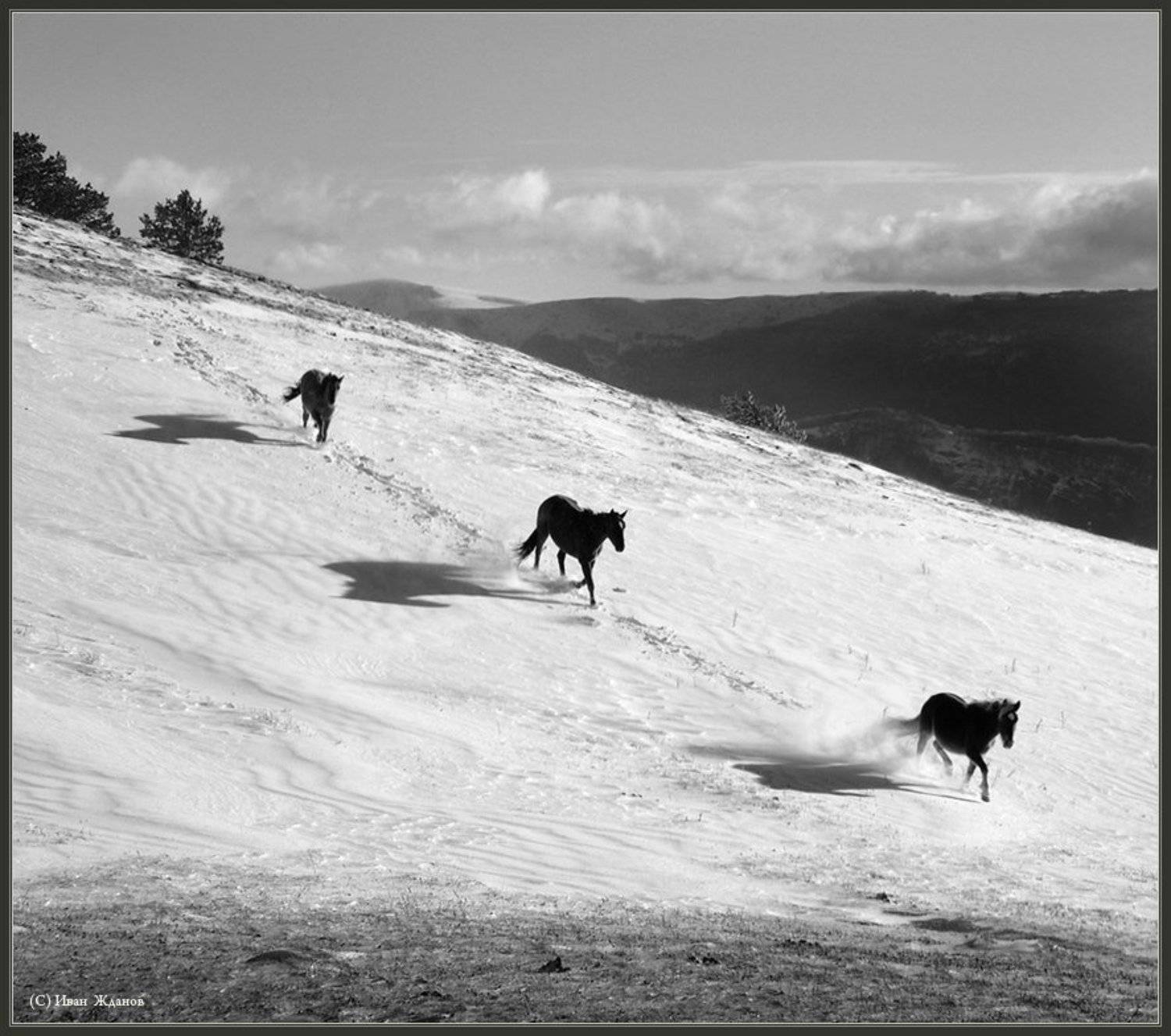 горы, демерджи, лошади, зима, Иван Жданов