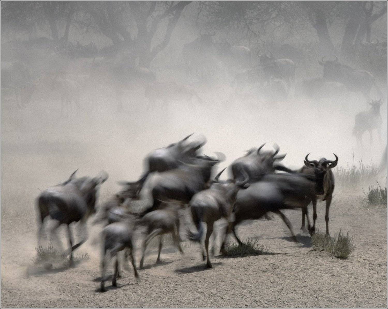 , Игорь Гущин