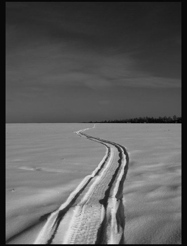 IMGP5567.jpg фото превью