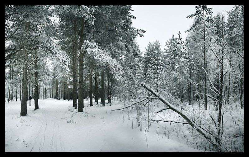 зима удалась фото превью