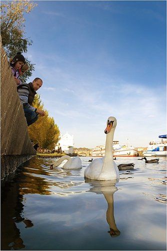 Почти сплит