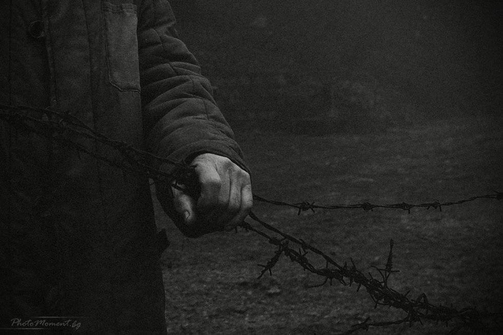 болгария, Denis Buchel