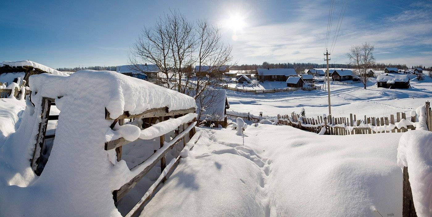 зимняя, сказка, Милый Ёжка