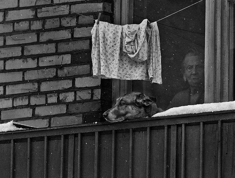 , Максим Юлдашев