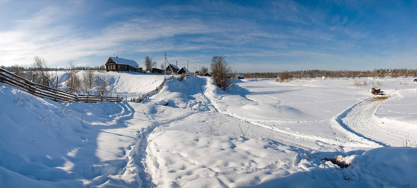 зимняя, сказка, Милый Ёжка