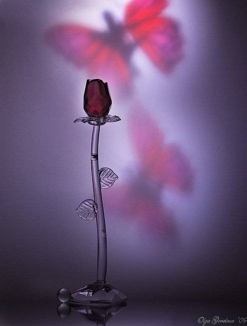 стекло, натюрморт, фото, бабочки, Ольга Горелова