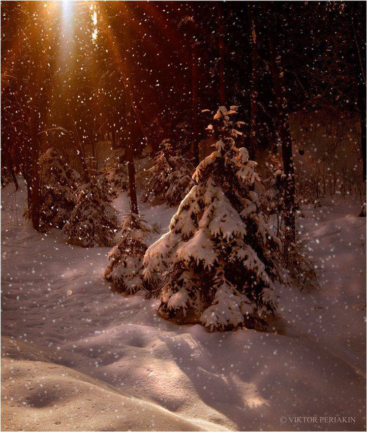 , Виктор Перякин