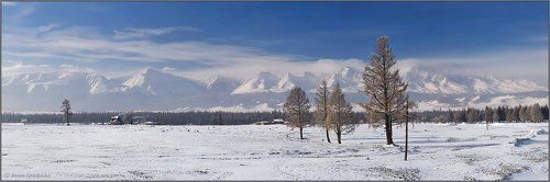 Утро в Курае