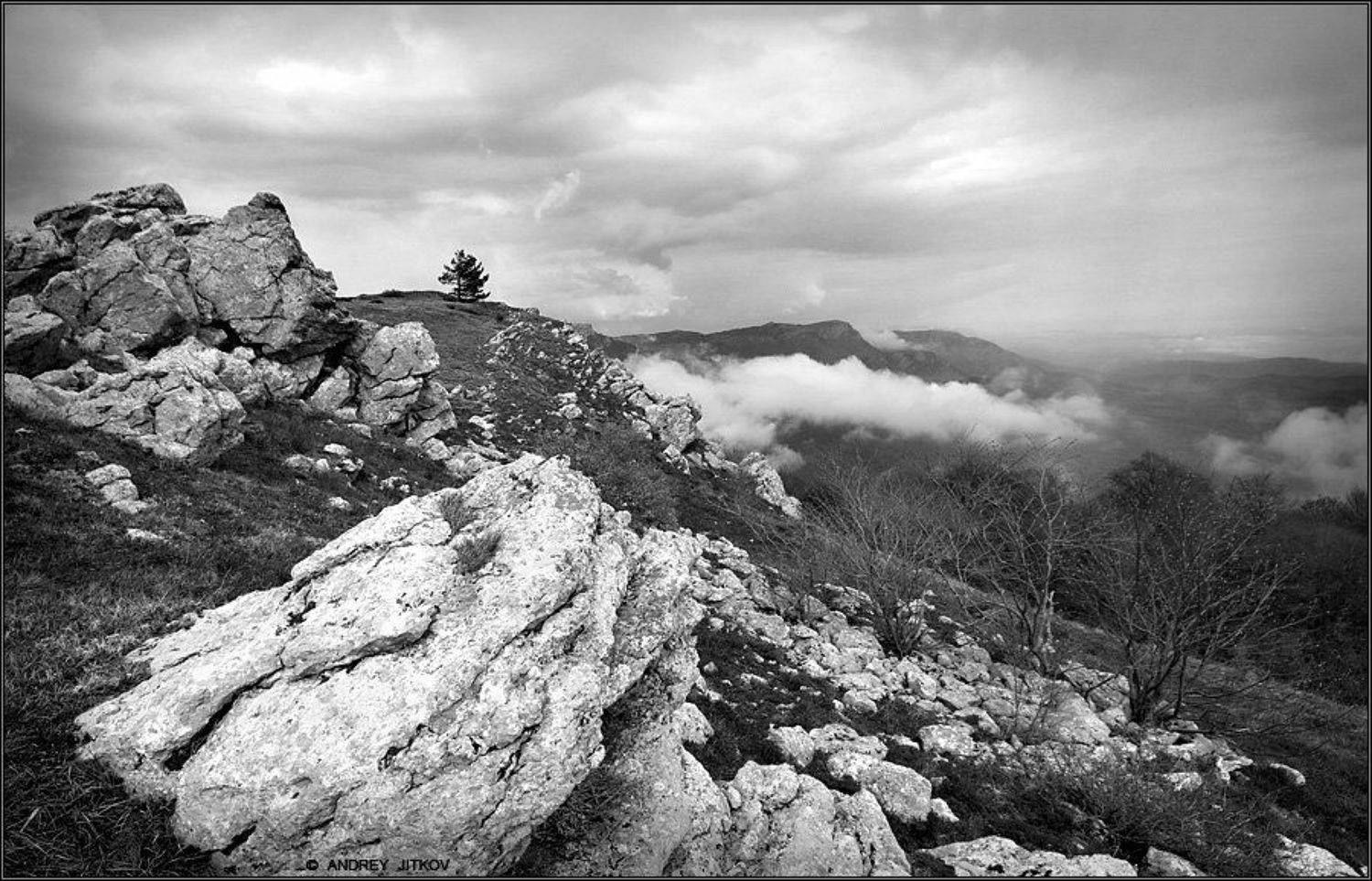 , Андрей Житков