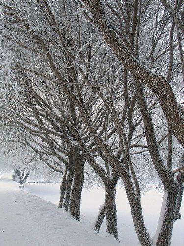 Обнаженные