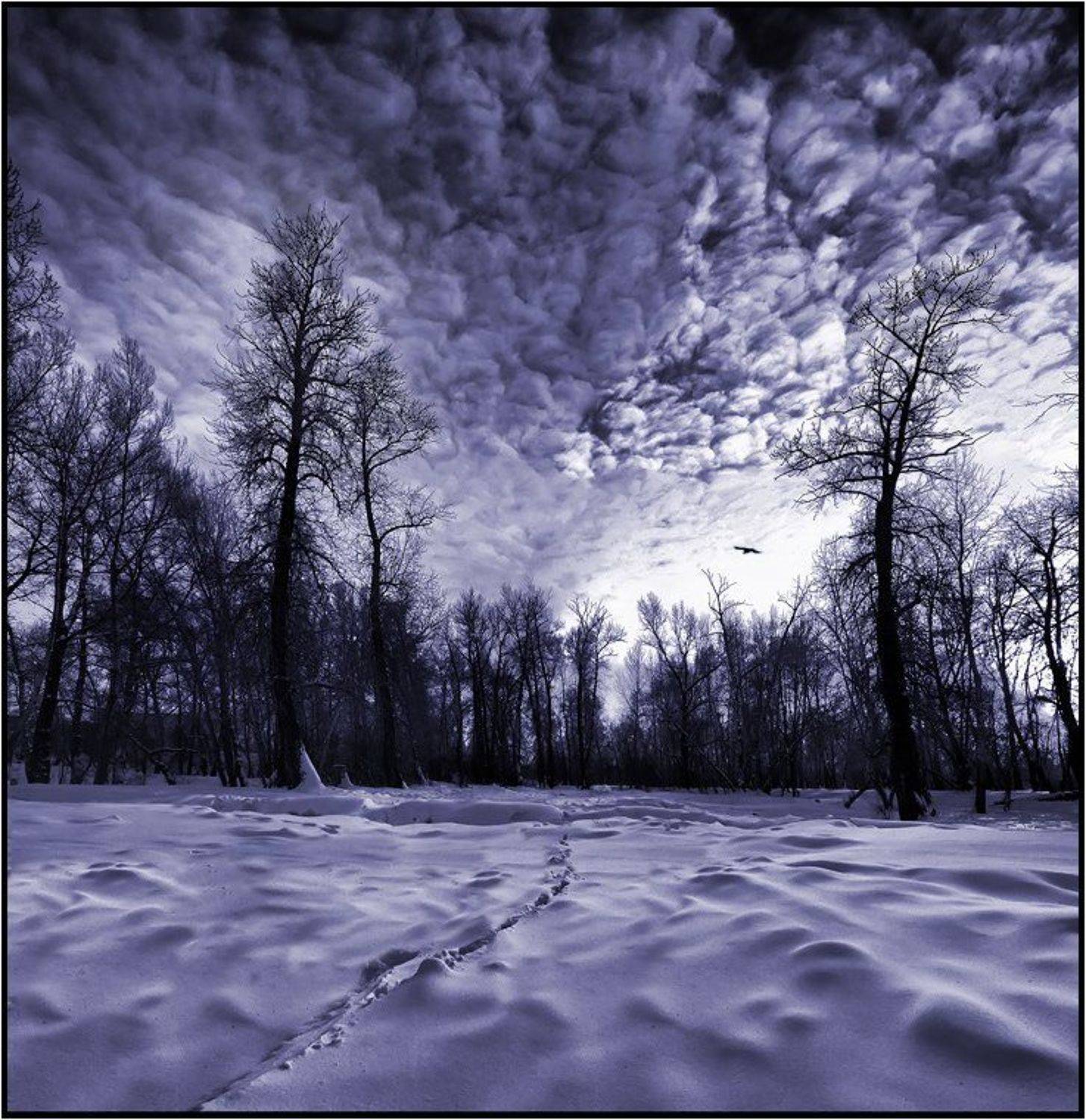 хакасия, Олег Клочков