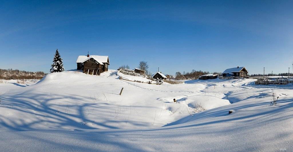 зимняя, сказка, Милый Ёжка