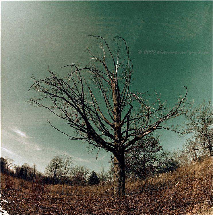 пейзаж, pilgrim, пленка, средний формат, 6х6, киев-60, зодиак-8, kiev-60, zodiak-8, Pilgrim