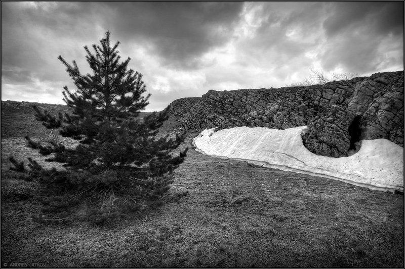 крым, демерджи, пейзаж, ель * * * фото превью