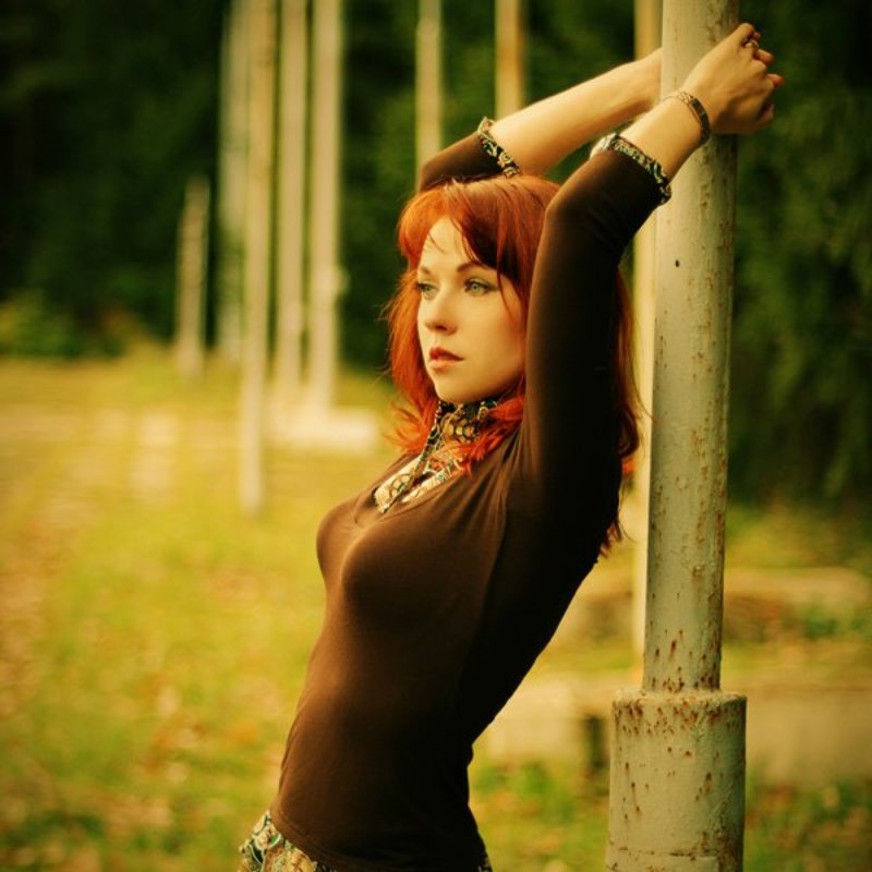 atumn, yellow, orange, red  фото превью