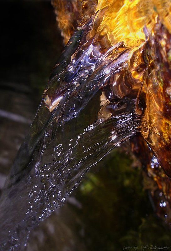 родник, солнце, вода,  лукьяненко Немного солнца в лесном роднике фото превью