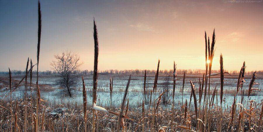 , Денис Богомолов