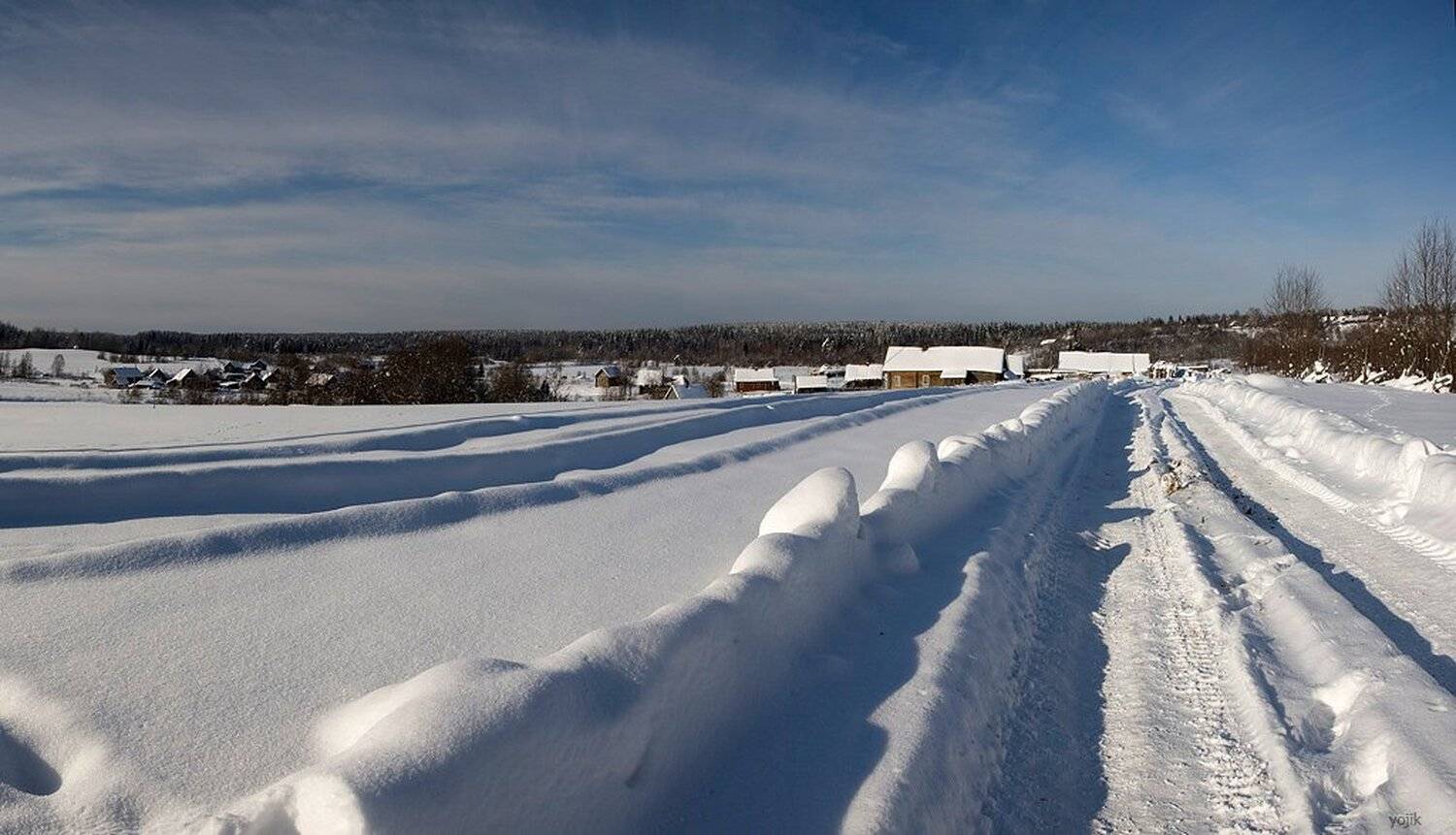 зимняя, сказка, Милый Ёжка