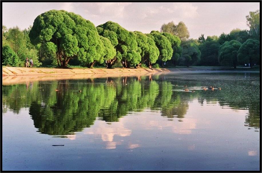 , Лунный Ежик