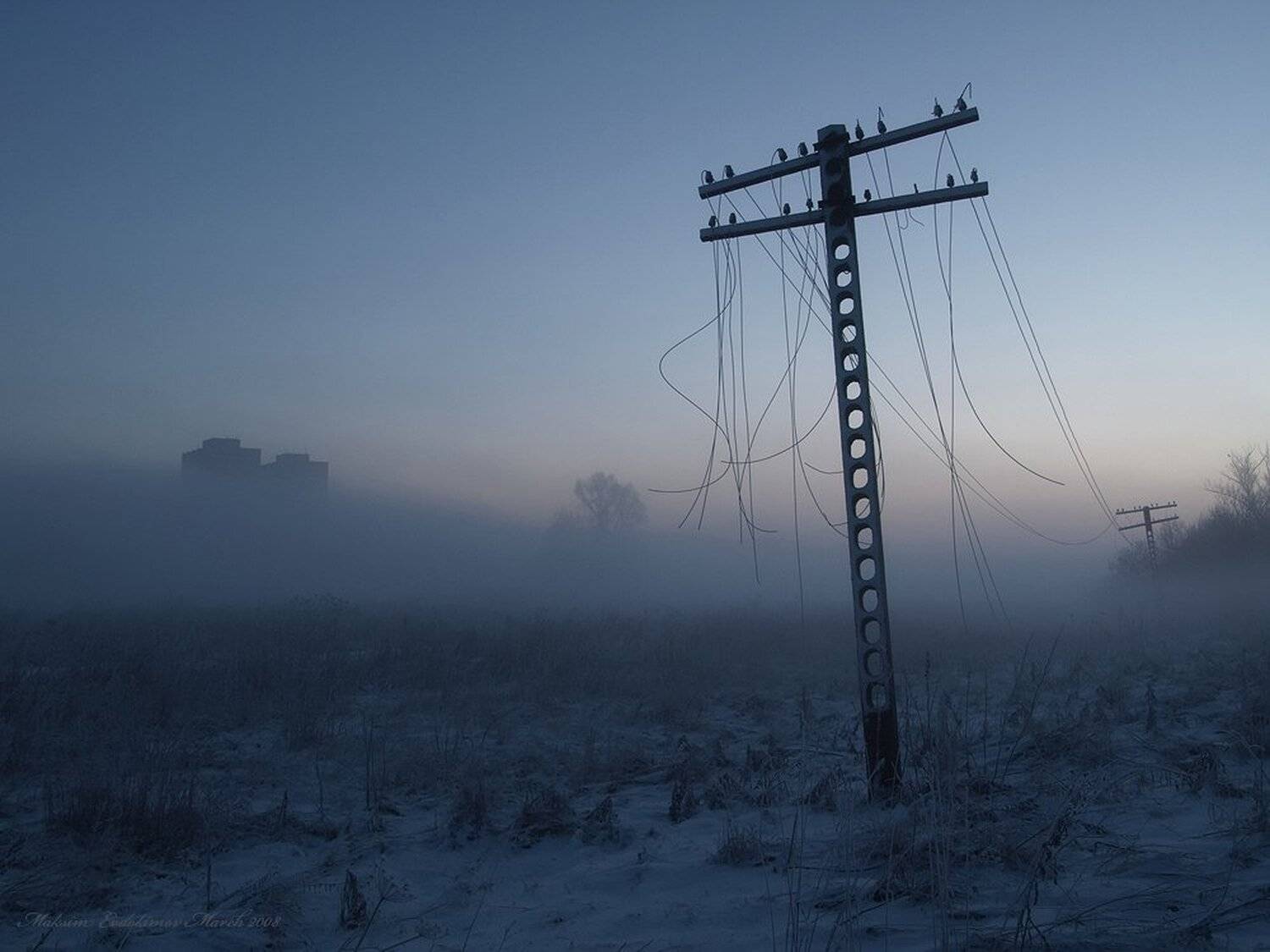 , Максим Евдокимов