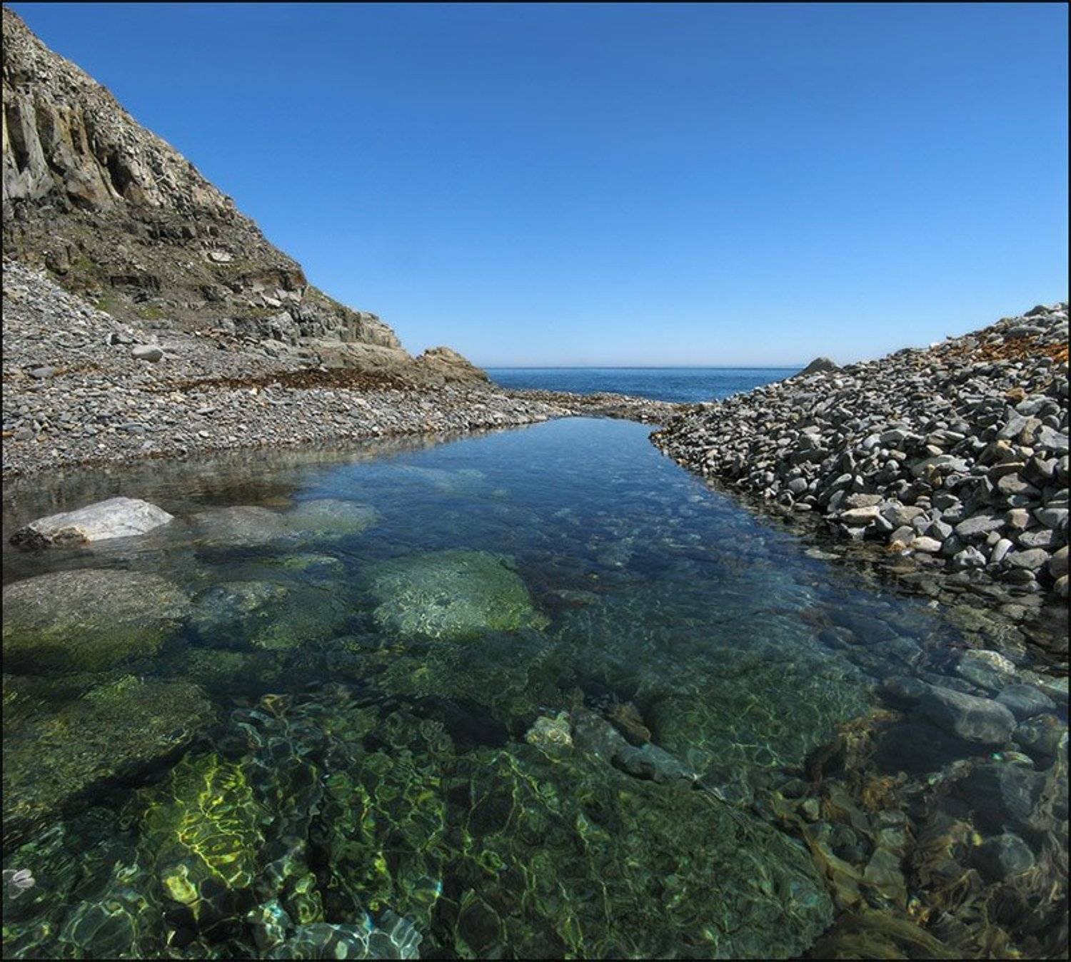 охотское, море, бабочка, Alexander Gil