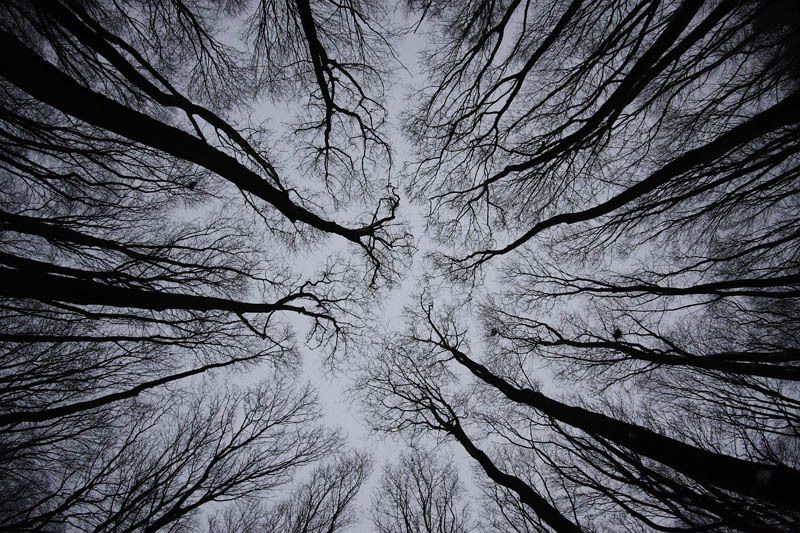 Вштырило =) фото превью