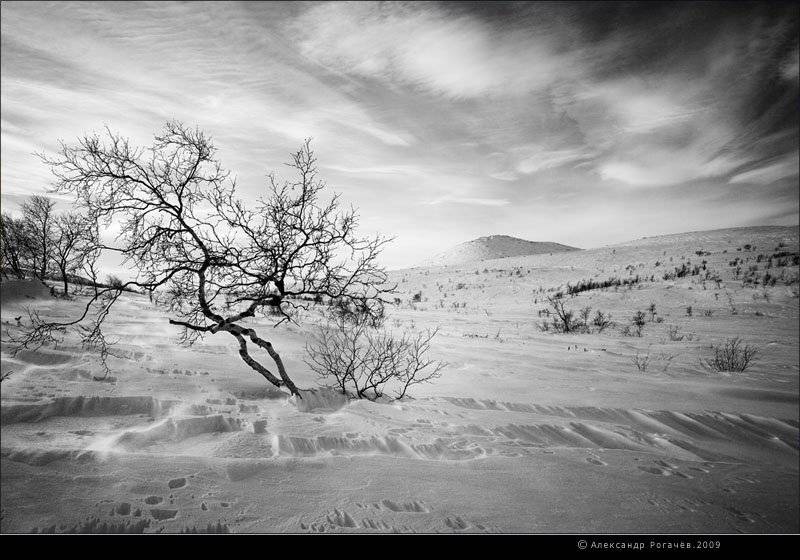 мурманск,тундра, Александр Рогачёв