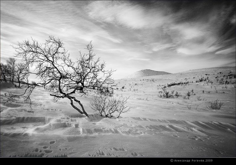 Февраль #2 фото превью