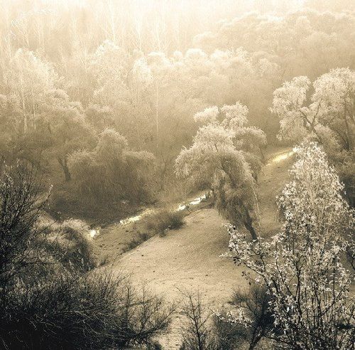 Земля без смеха.