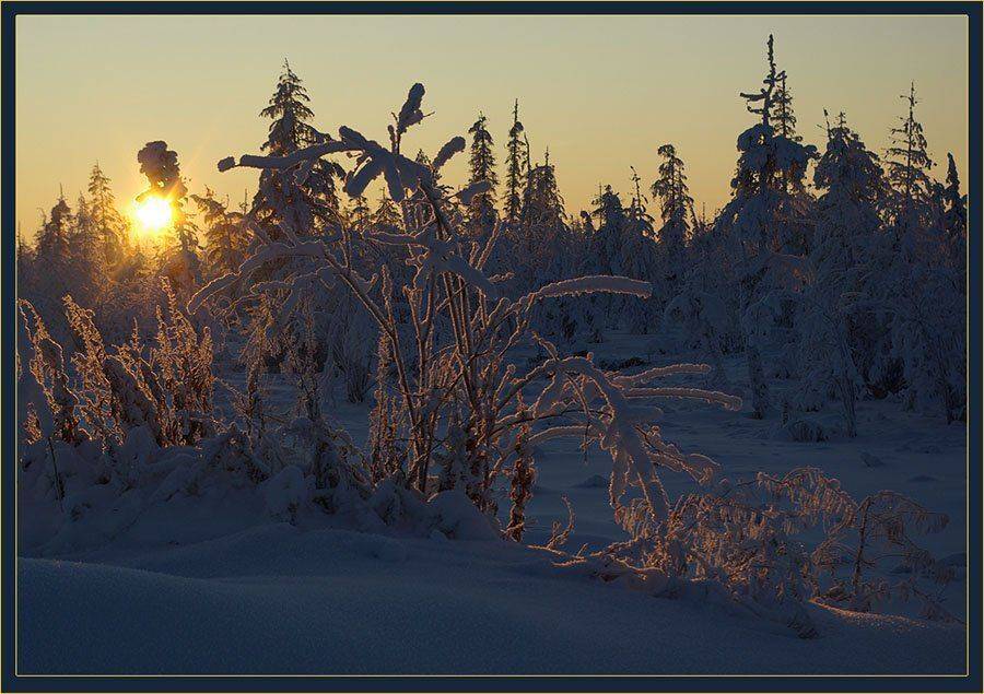 тайга, рассвет, зима, Солодухин Виктор