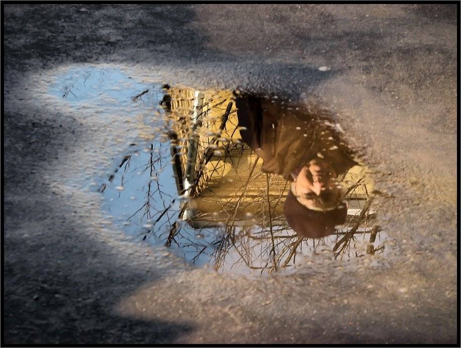 , Лунный Ежик