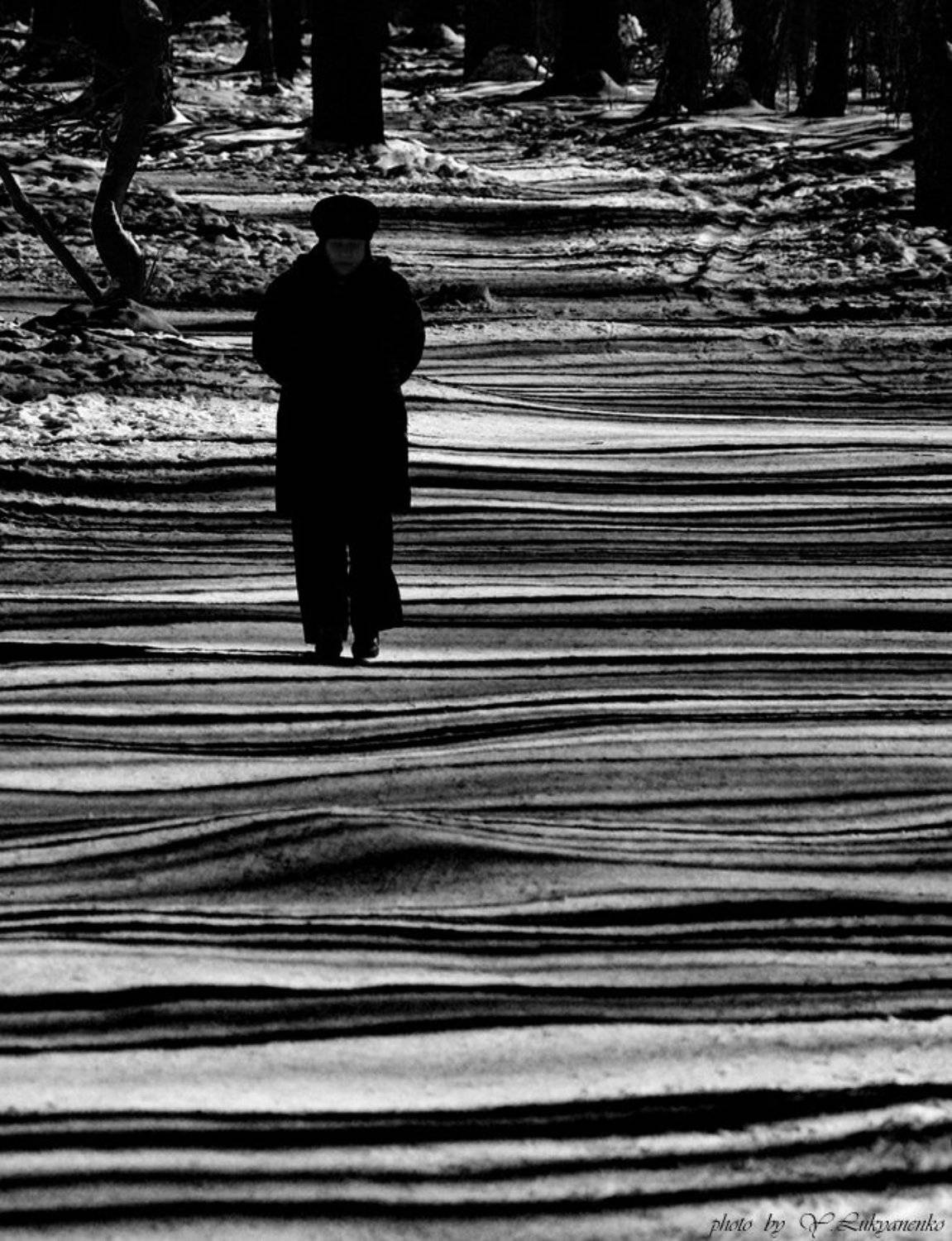 жизнь, полосатая,  тимирязевский, лес, лукьяненко, Юрий Лукьяненко (o4spok)