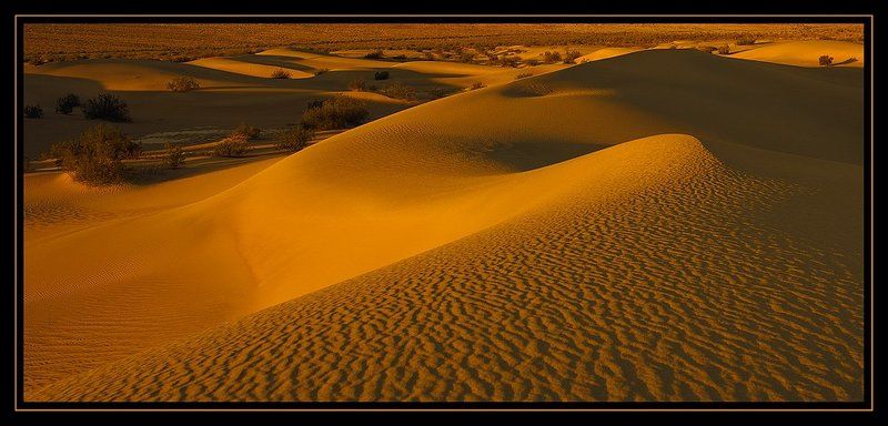 Golden Dunes фото превью