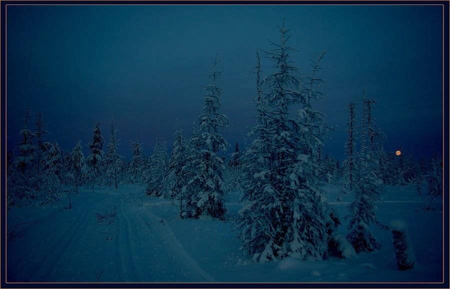 лыжня,тайга,зима,ночь, Солодухин Виктор