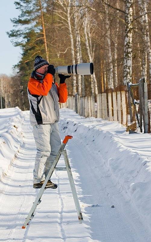 зима, фотоохота, окский заповедник, зубровый питомник, илья гусев, Partner (Андрей Алексеев)