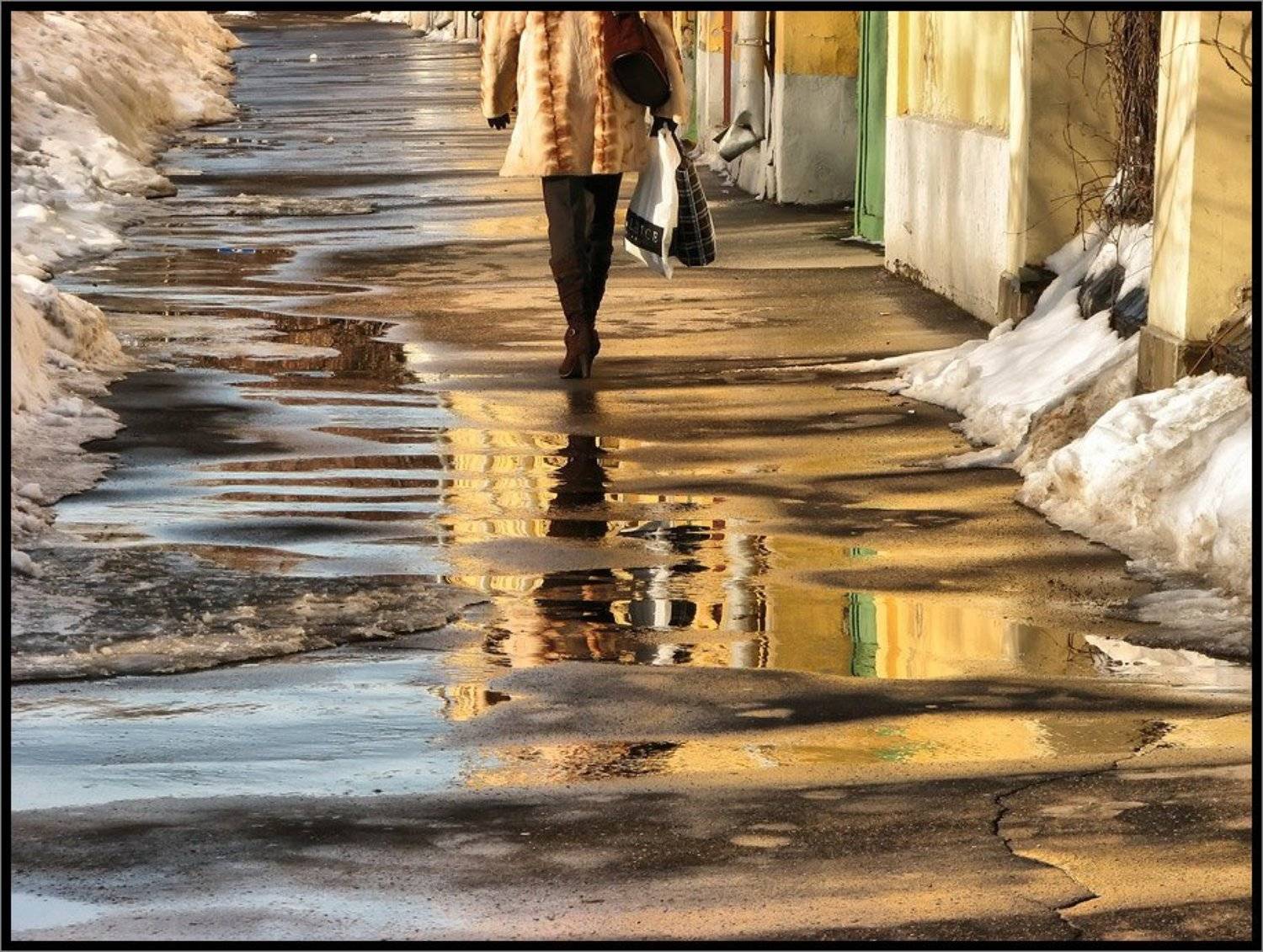 , Лунный Ежик