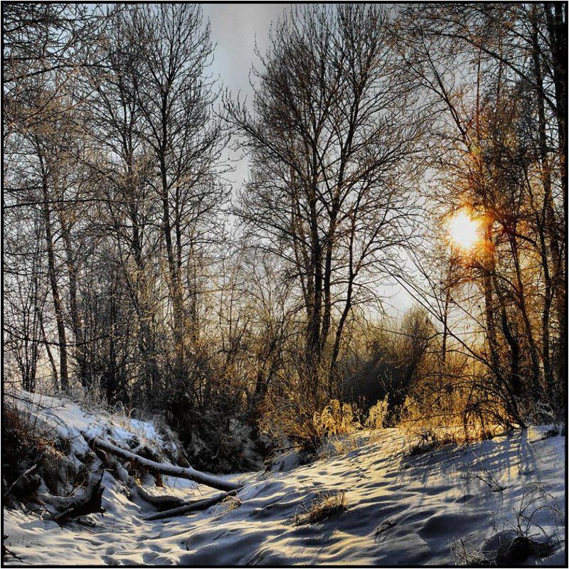 хакасия ОТОГРЕВАЯ ЗИМУ фото превью