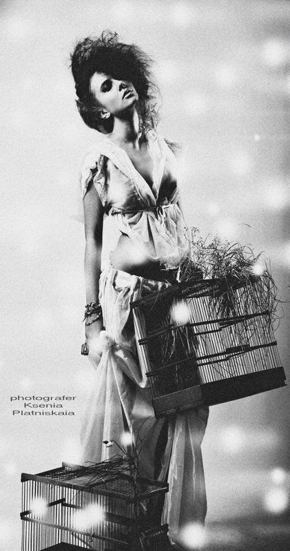 The poultry-maid...... фото превью