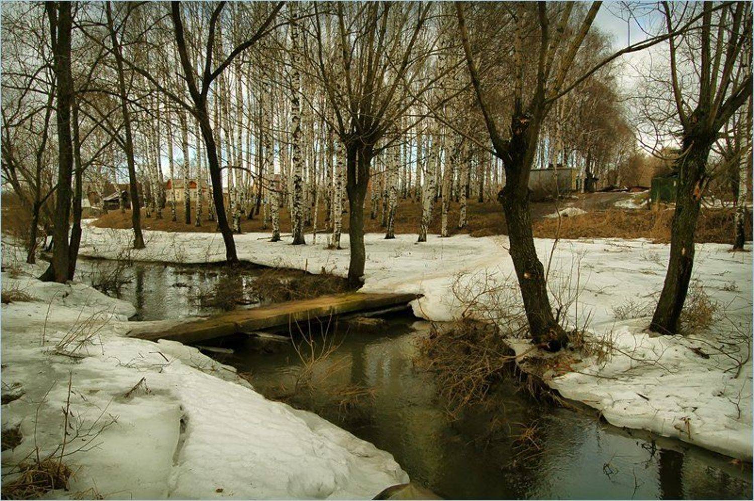 россия, март, 2007, Лариса Лучко