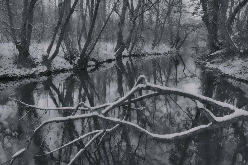 река,снег,деревья,зима., АНДРЕЙ ЗОЛОЧЕВСКИЙ