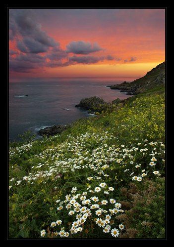 Saints Bay