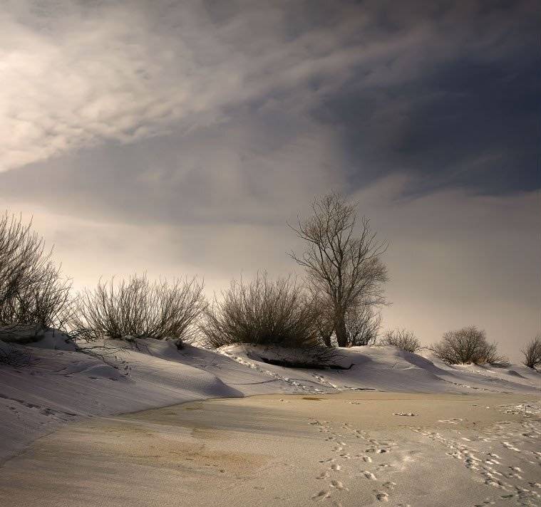 , Эдуард VTORNIK  Николаев