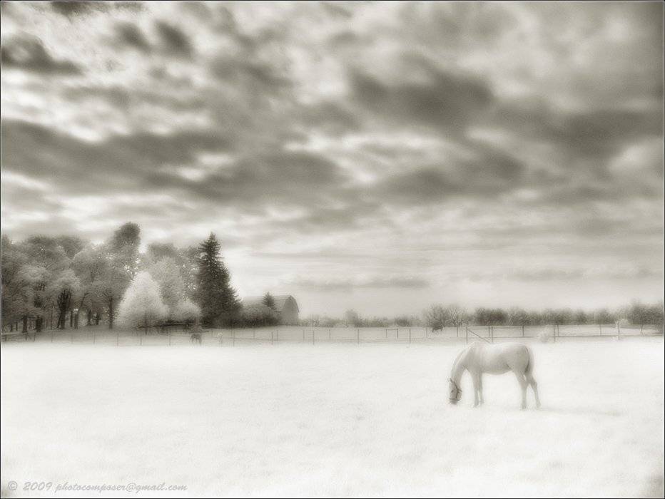 ик, пейзаж, infrared, инфракрасный, инфракрасное, pilgrim, hoya r72, minolta dimage 7, Pilgrim