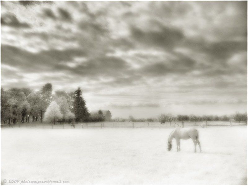 White and warm фото превью