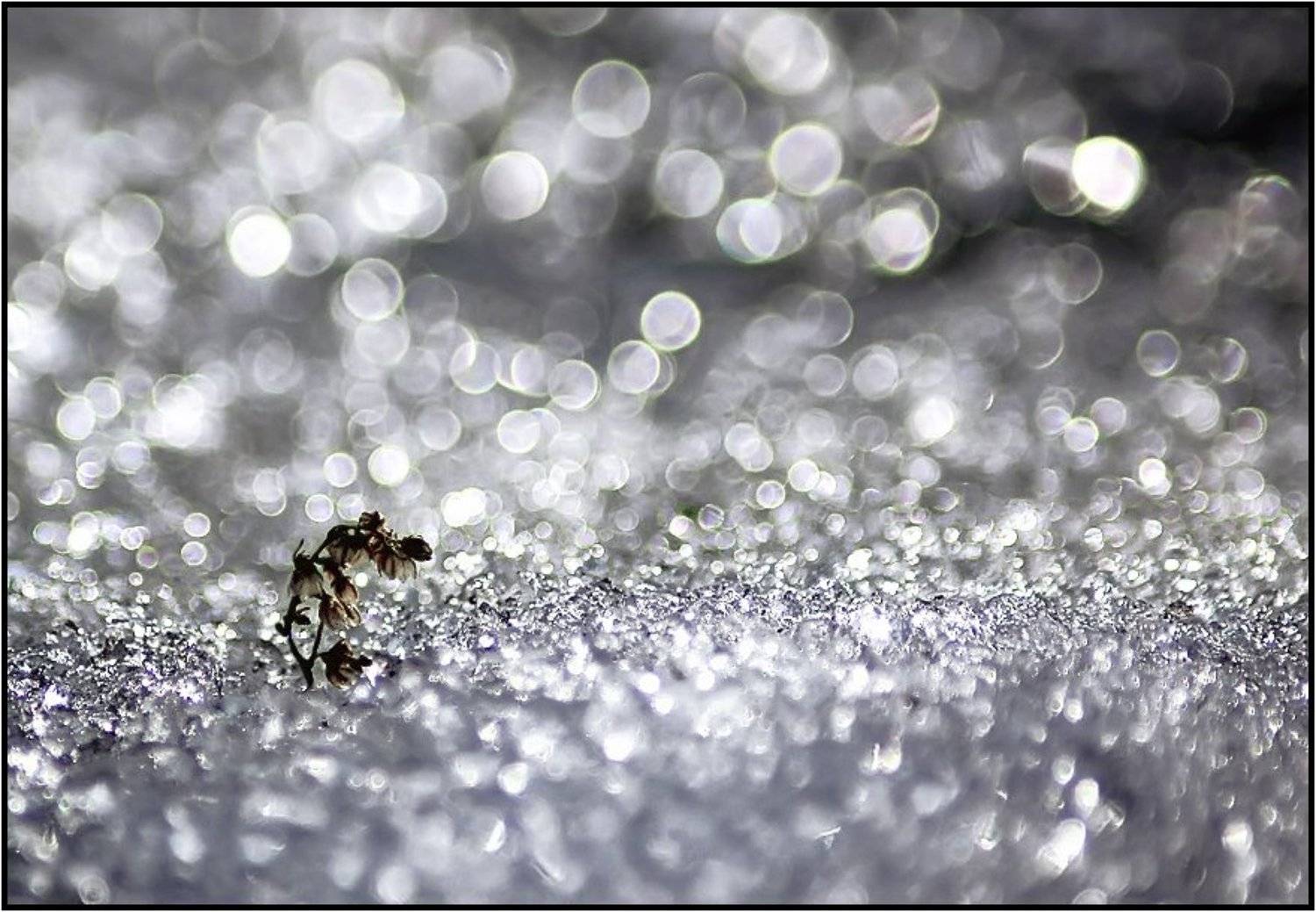 , Олег Клочков