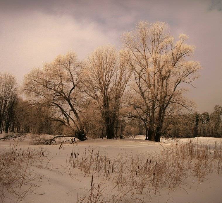 , Эдуард VTORNIK  Николаев