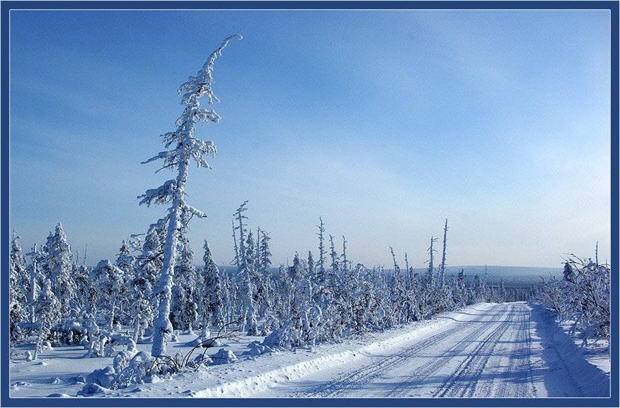 дорога,зима,тайга,заполярье, Солодухин Виктор