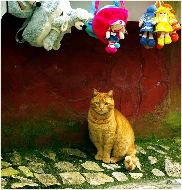 Igrushka фото превью