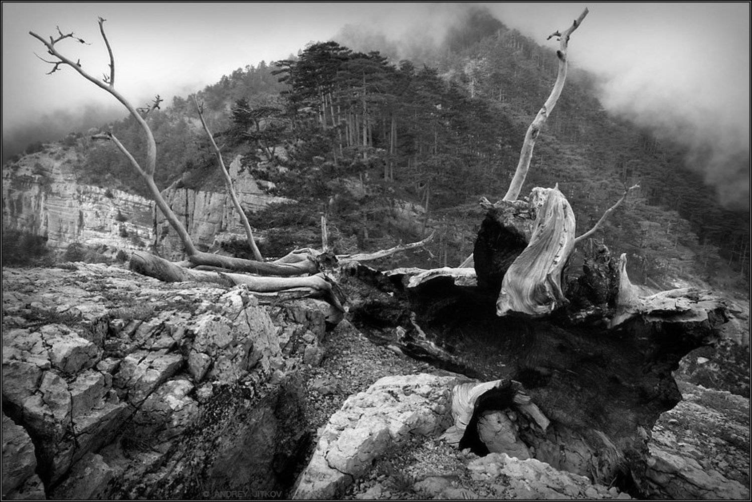 крым, пейзаж, Андрей Житков